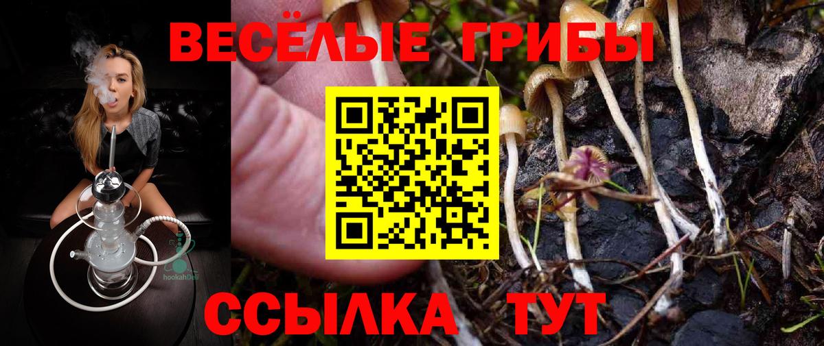 Псилоцибиновые грибы MAGIC MUSHROOMS  Псилоцибиновые грибы мухоморы  Ессентуки  Вход с VPN 